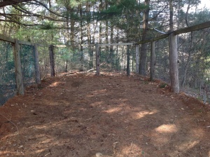 The dog run with the netting...about 26' x 30'