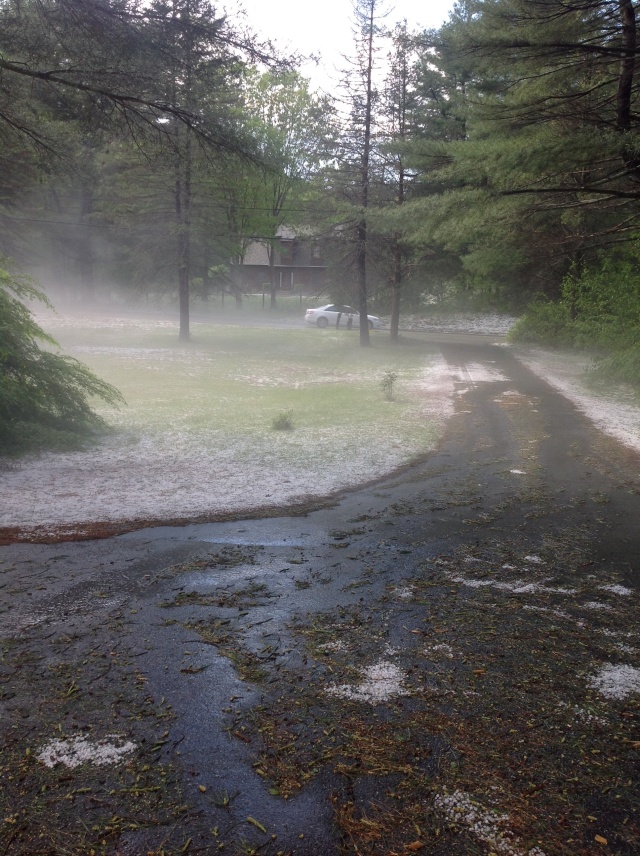 View of our driveway and the steam rising from the hail.