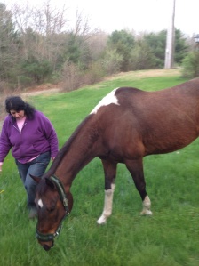 My wife and the visiting horse